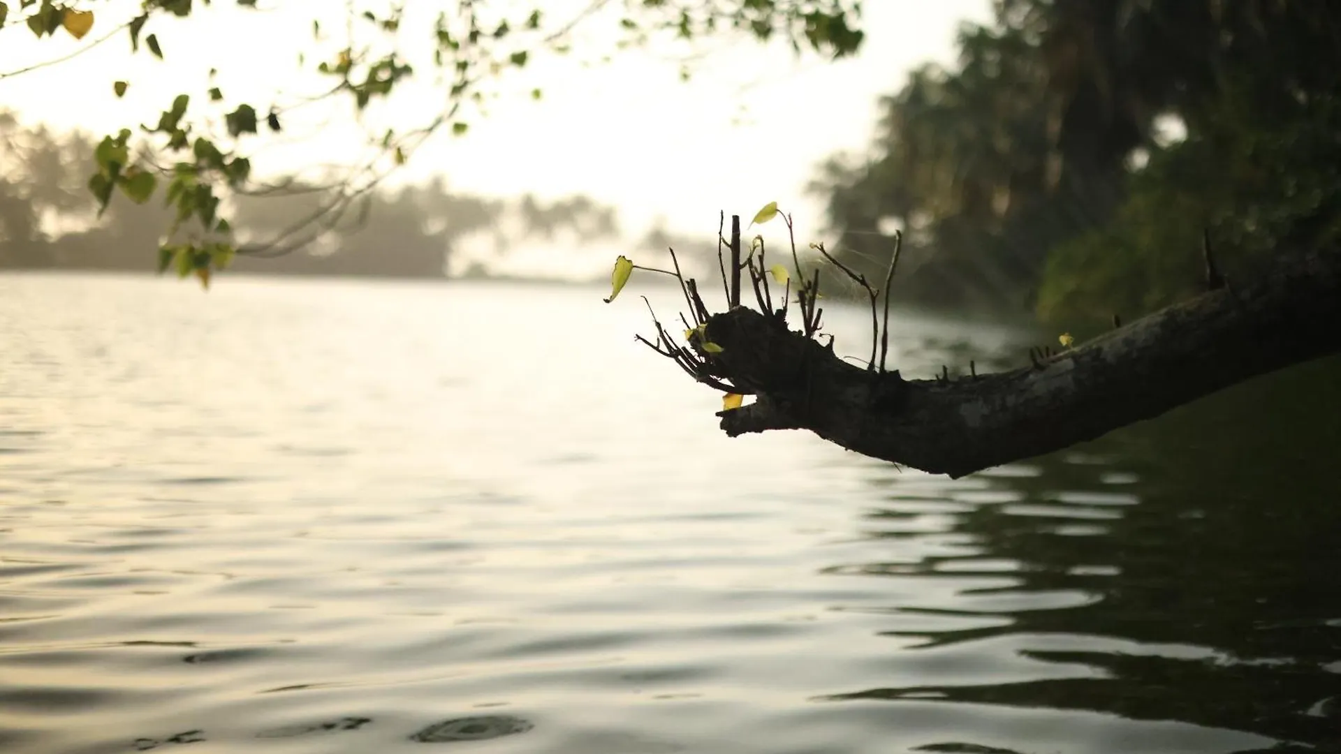 River Loom Kovalam Indie