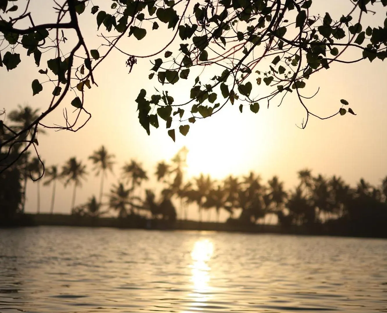 River Loom Kovalam Kwatera prywatna